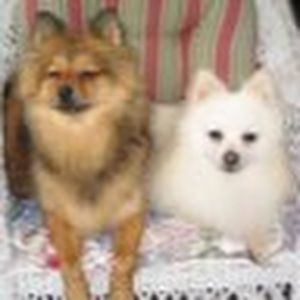 Meet your Posher, Ann